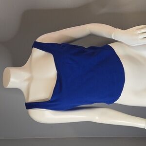 Rachel Zoe Blue Stretchy Lined Sleeveless Crop Top - Size Small